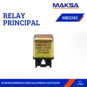 RELAY PRINCIPAL