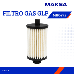 FILTRO GAS GLP