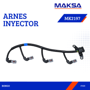 ARNES INYECTOR
