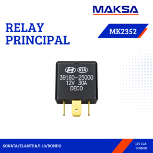 RELAY PRINCIPAL