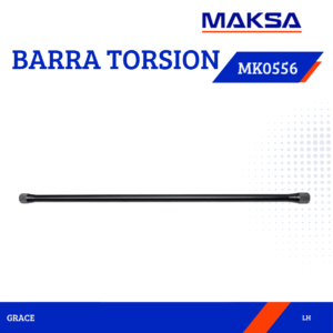 BARRA TORSION