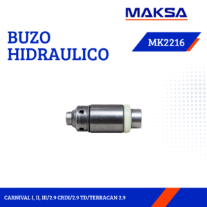 BUZO HIDRAULICO